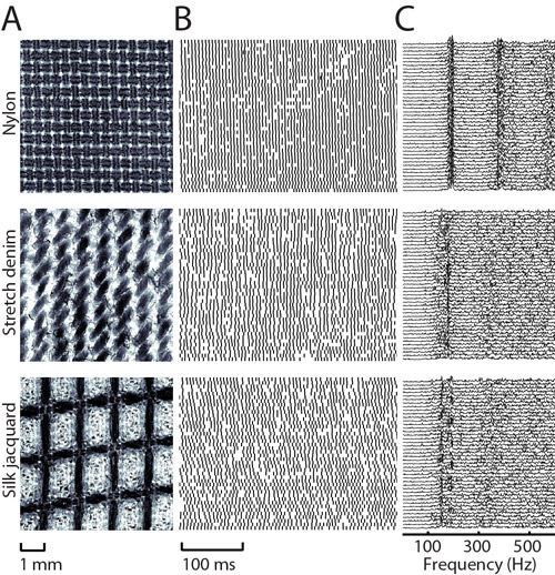 texture-perception-large